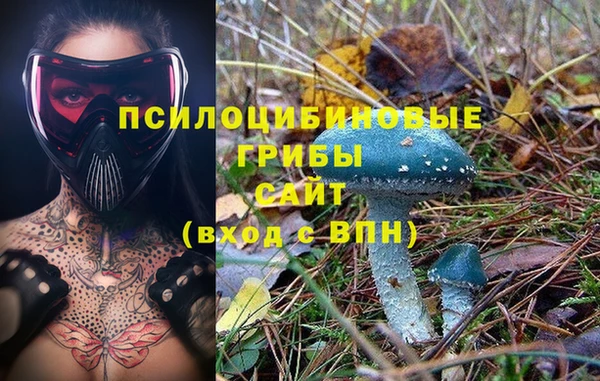 мет Вяземский