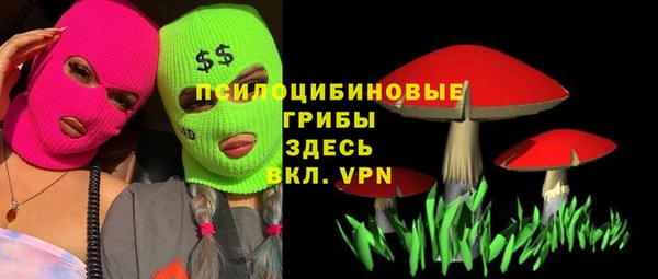 мет Вяземский